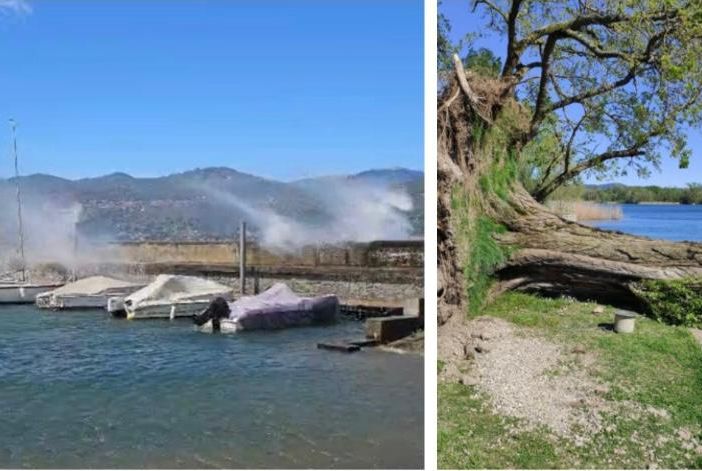 VIDEO e FOTO. Le folate di vento sferzano il lago Maggiore, albero sradicato ad Angera