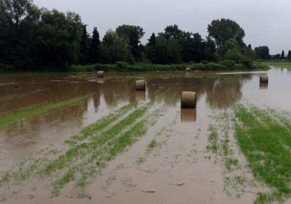 Maltempo: forti piogge nel Varesotto, esondato il fiume Olona