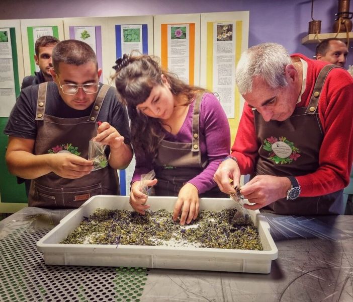 Inaugurata a Galliate la 'Piazza delle Erbe'
