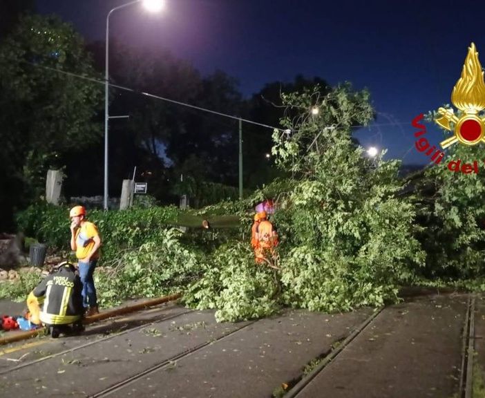 L'albero di 20 metri crollato a Milano per il maltempo