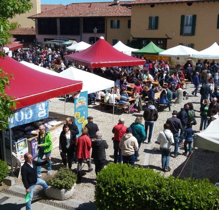 Domenica 14 aprile, gita a Morimondo incontro alla primavera per immergersi nella storia e nella bellezza a pochi chilometri da casa