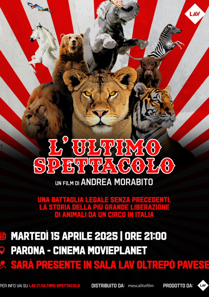 &quot;L'ultimo spettacolo - storia di una liberazione&quot; di Andrea Morabito arriva nelle sale del cinema Movieplanet di Parona il 15 aprile