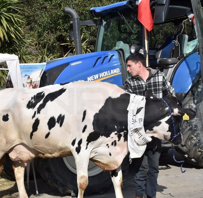 Sanremo: i trattori arriveranno venerdì e resteranno anche sabato, tra Valle Armea e il centro