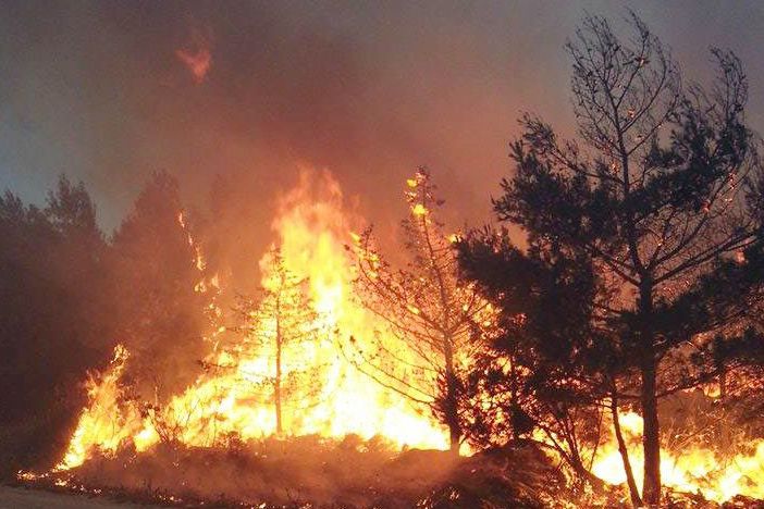 Incendi, l’allarme della Coldiretti, +153% in Italia