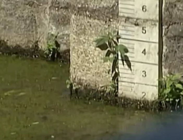 Mondo agricolo a confronto nel Basso Pavese ma la stavolta la siccità non è un problema…