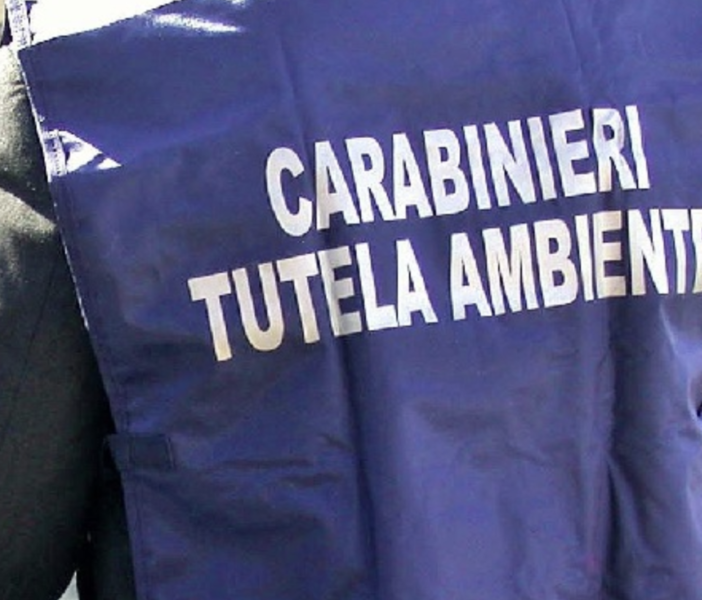 Traffico illecito di rifiuti, coinvolto anche l'ex patron del Novara Calcio Maurizio Rullo