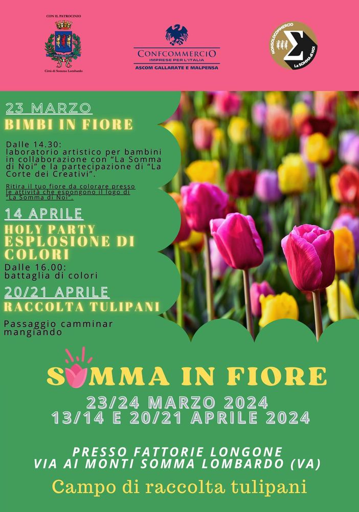 Un campo di tulipani per una primavera indimenticabile: arriva Somma Lombardo in fiore!