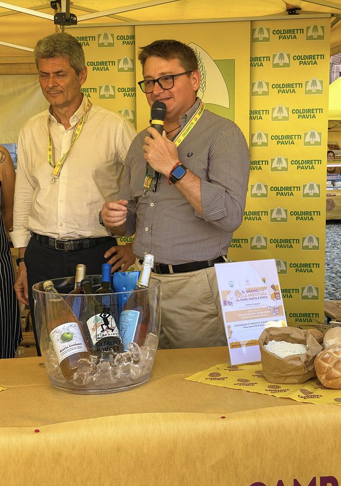 Clima, scatta in ritardo la raccolta del riso: -10% produzione anche in provincia di Pavia
