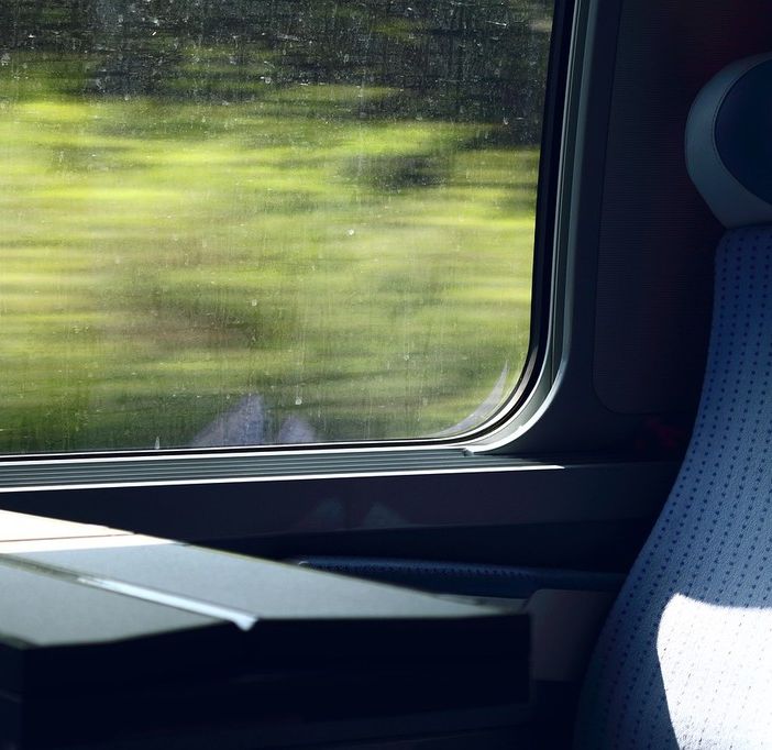 Dal 1° aprile bici e animali domestici viaggiano gratis sui treni di Trenord