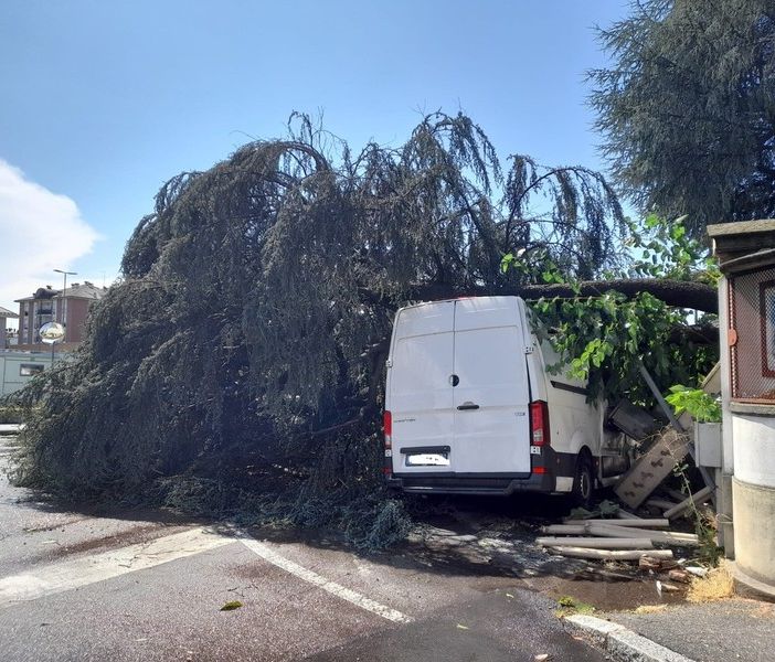 Tempesta su Gallarate: sottopassi allagati e alberi a terra