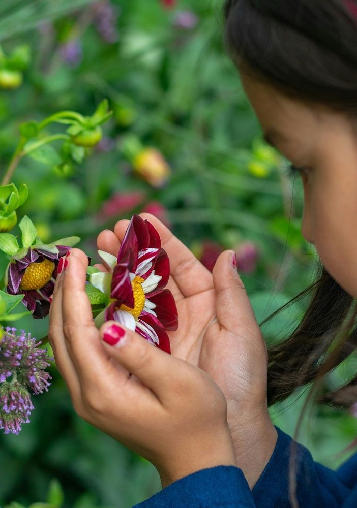Da Viridea tornano i laboratori di natura per bambini