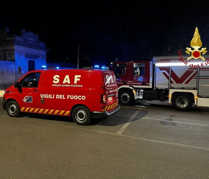 Attaccato da due cinghiali, scappa e si rifugia su un albero: recuperato dai vigili del fuoco