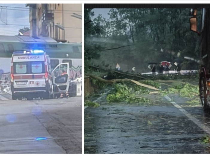 L'auto distrutta dal crollo di un albero davanti all'Esselunga di viale Borri a Varese. Sotto nella prima foto della gallery: a sinistra le lamiere cadute sulla ferrovia in via Bainsizza (foto Michael Balzano da NaturalMeteo), a destra alberi caduti in strada in Valganna (foto di Valeria Brugnoni da Facebook). Sempre in gallery i danni del maltempo in diverse zone di Varese e della provincia