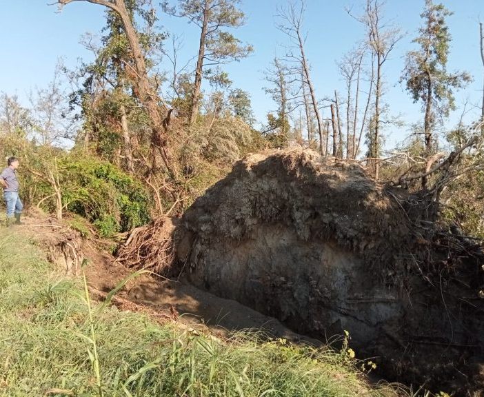 Al Parco del Ticino si fa la conta dei danni ad alberi e boschi