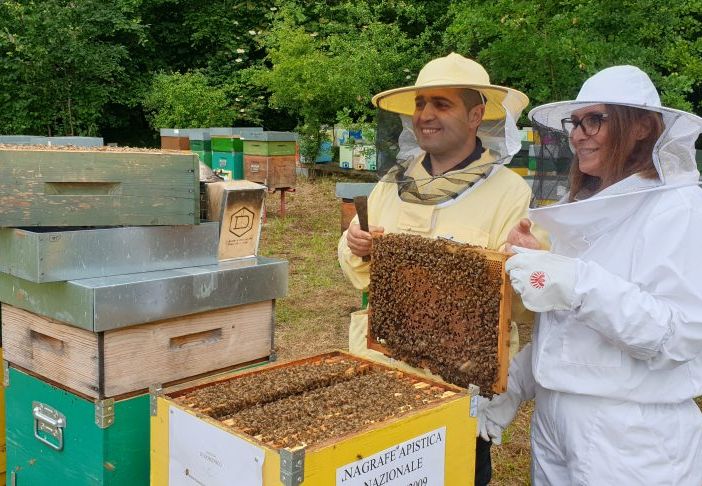 Alessandro, apicoltore al centro Geraci nel Parco del Ticino: “Le api sono vita, ci indicano lo stato di salute del territorio in cui viviamo”