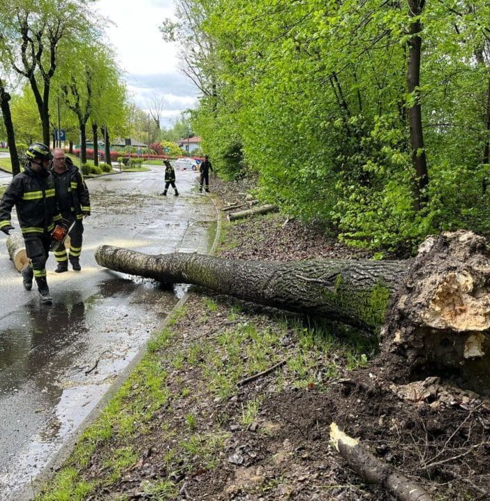 Allerta rossa per il Ticino: volontari del Parco in azione