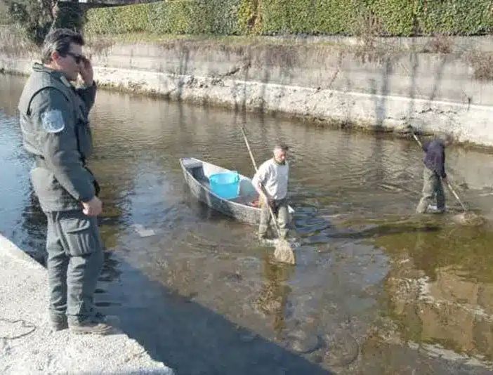 Con i Navigli in Asciutta iniziano i lavori mentre si recupera la fauna ittica