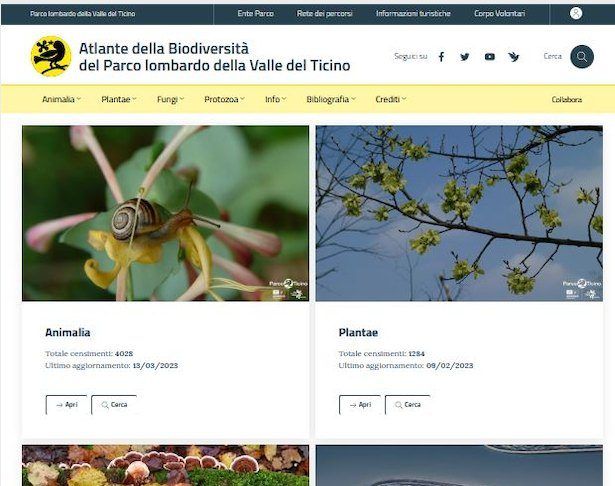Parco del Ticino, ecco il primo portale (italiano) sulla biodiversità