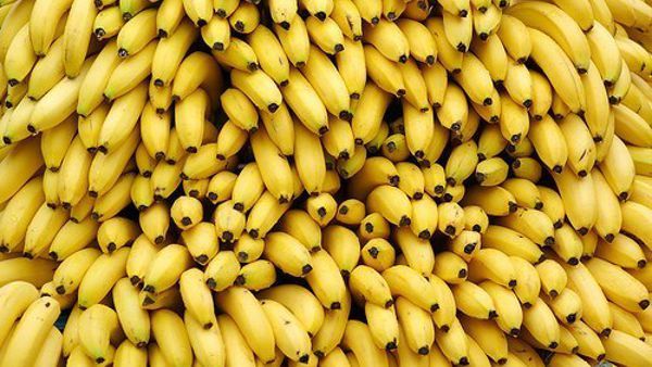 Livorno, maxi sequestro: 208 chili di coca in container.. di banane