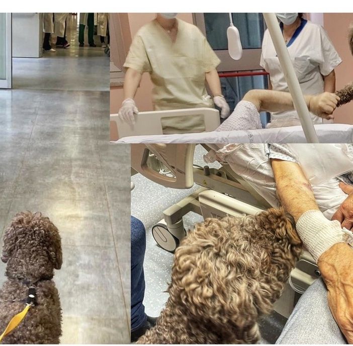 foto dalla pagina Facebook dell'Asst Nord Milano