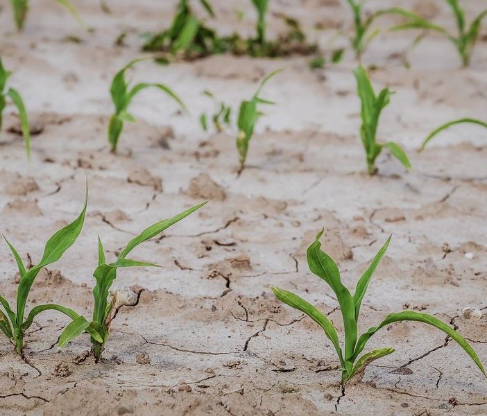 Siccità gravissima, allerta rossa con possibilità per le Regioni di chiedere lo stato di emergenza