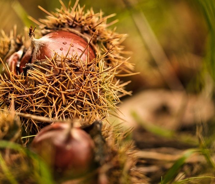 Autunno? No, fine settembre come un'eterna estate: sole e massime a 25 gradi per una settimana