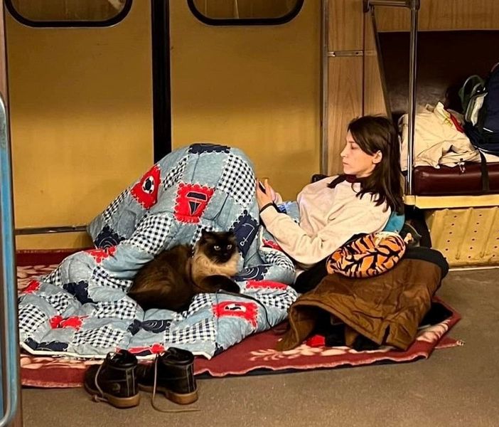 FOTO. Le immagini da Kiev che raccontano di chi resiste insieme ai suoi animali
