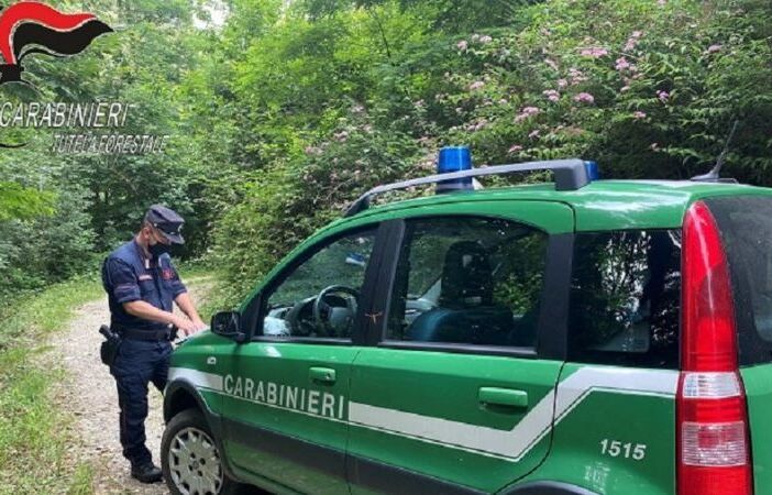 Novarese, Carabinieri forestali sequestrano stabilimento di metalli