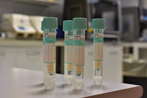 Covid, sono 55 i nuovi positivi registrati in provincia di Pavia dall'ultimo bollettino