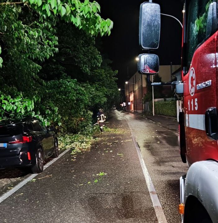 Notte di maltempo a Pavia, albero si abbatte su alcune auto