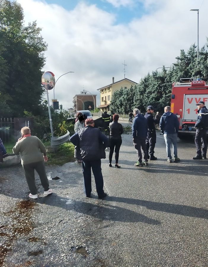 Vigevano: albero cade in corso Genova, chiuso un tratto di strada
