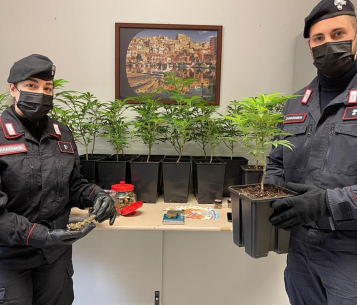 Traffico internazionale di droga: in arresto un 30enne vercellese