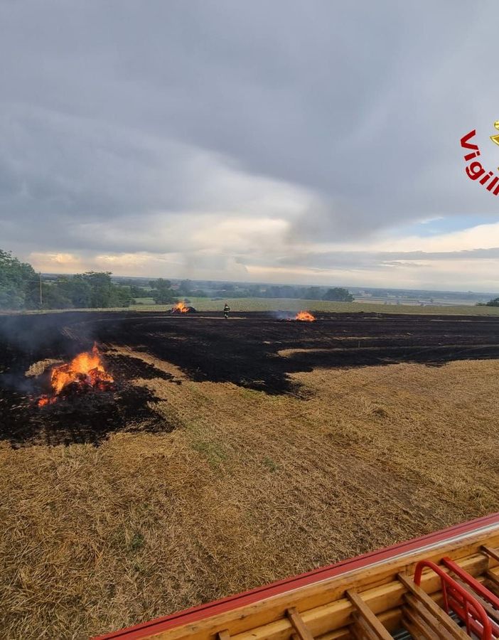 Broni: incendio di sterpaglie in un campo di frumento, intervengono i Vigili del fuoco