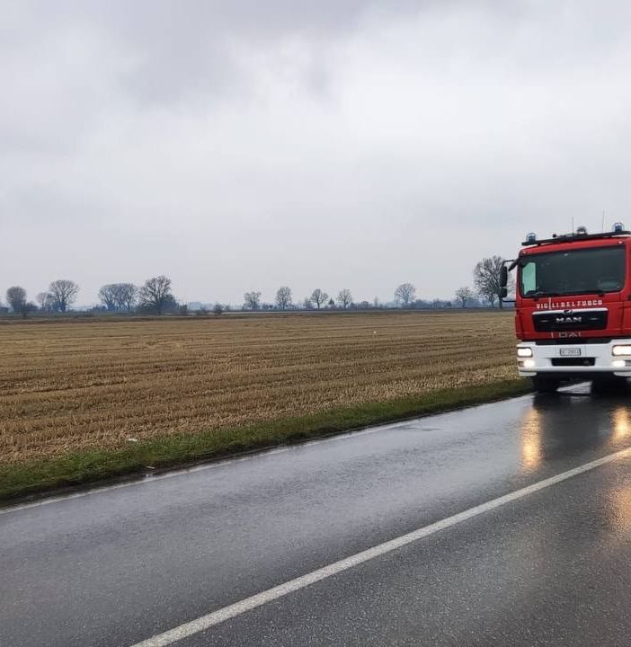 Pavese: auto esce fuori strada dopo avere urtato un animale selvatico, due feriti