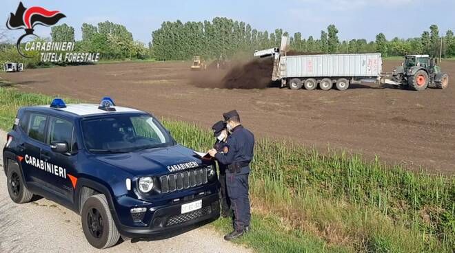 Carabinieri Forestali: l’attività svolta in Lombardia nel 2021