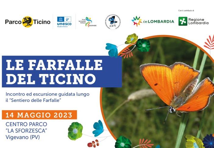 Domenica 14 le farfalle del Ticino...alla Sforzesca di Vigevano