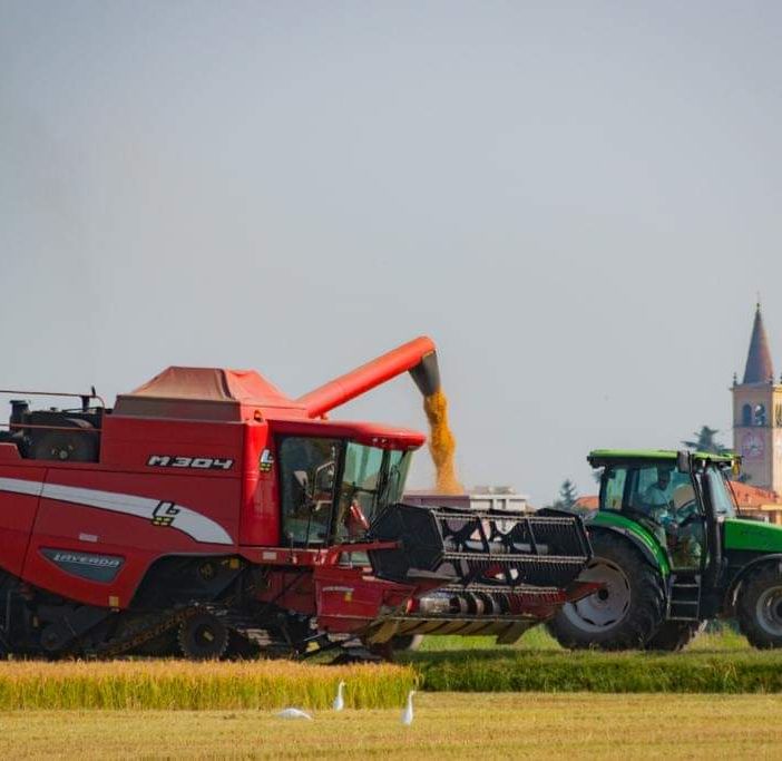 Fiera agricola e artigiana di Trecate: ancora pochi giorni per le adesioni