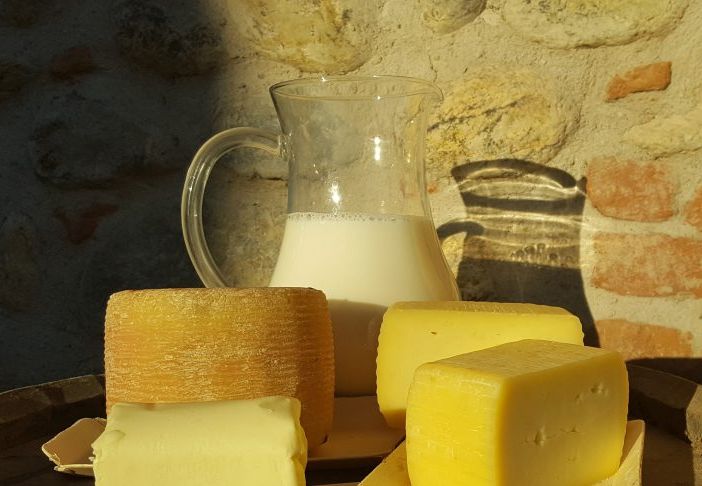 AAA, il Parco Ticino cerca caseifici per la produzione di &quot;formaggio giallo&quot;