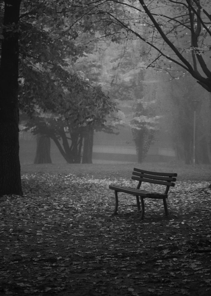 Ph. Maurizio Denti Pompiani