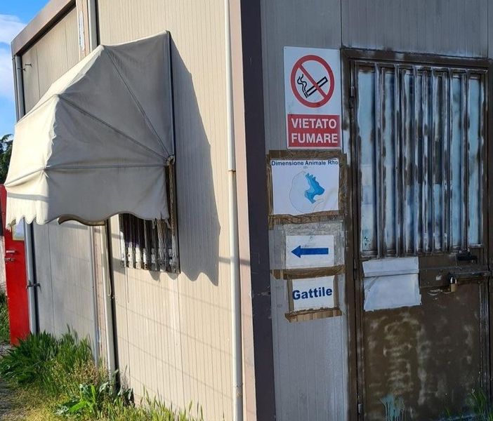 Incursione e micia uccisa. Grave episodio al gattile di Rho