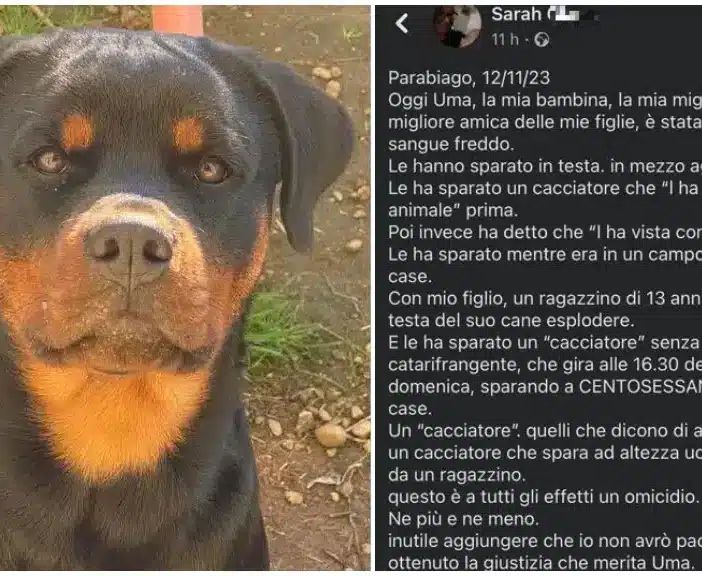 Parabiago. Parla l’avvocato del cacciatore. “Il mio assistito sta subendo un linciaggio mediatico. Ha sparato per stato di necessità”