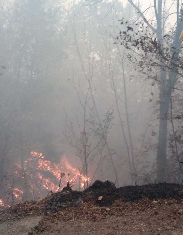 Regione Lombardia, allarme sugli incendi boschivi