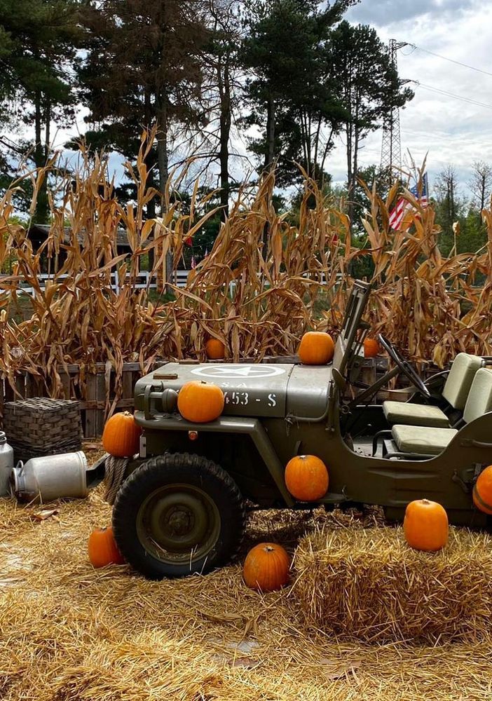 San Martino Siccomario: sabato 16 e domenica 17 ottobre al Villaggio delle Zucche è tempo di magia!