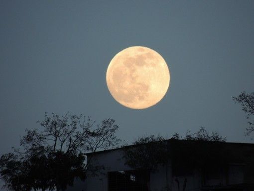 Spettacolo nel cielo di questa sera: arriva la Luna Piena del Castoro