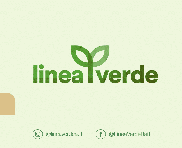 Linea Verde: domenica 6 su Rai Uno lungo le vie del riso lomelline (e del Parco Ticino)