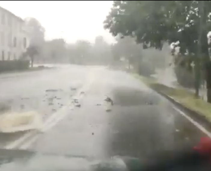 Maltempo nel vercellese, tettoia scoperchiata e alberi in strada