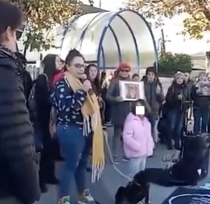 Un'immagine dalla pagina Facebook del Partito Animalista