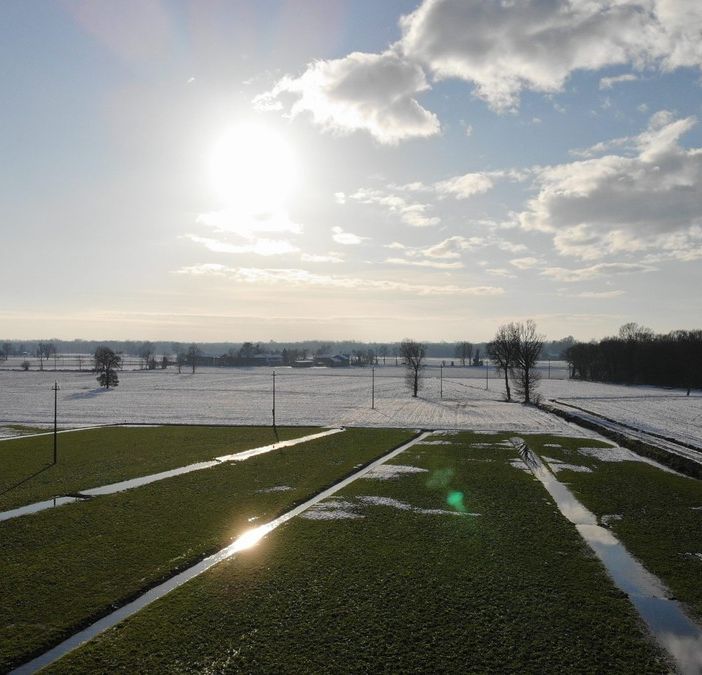 Fiera Abbiategrasso: da domani la mostra del Parco Ticino sulle marcite