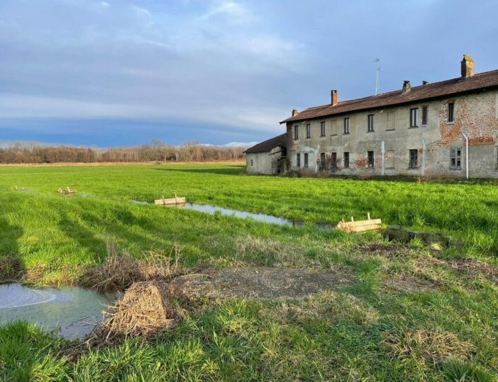 Marcite, risorgive e fontanili: il valore dell’acqua nel Parco del Ticino