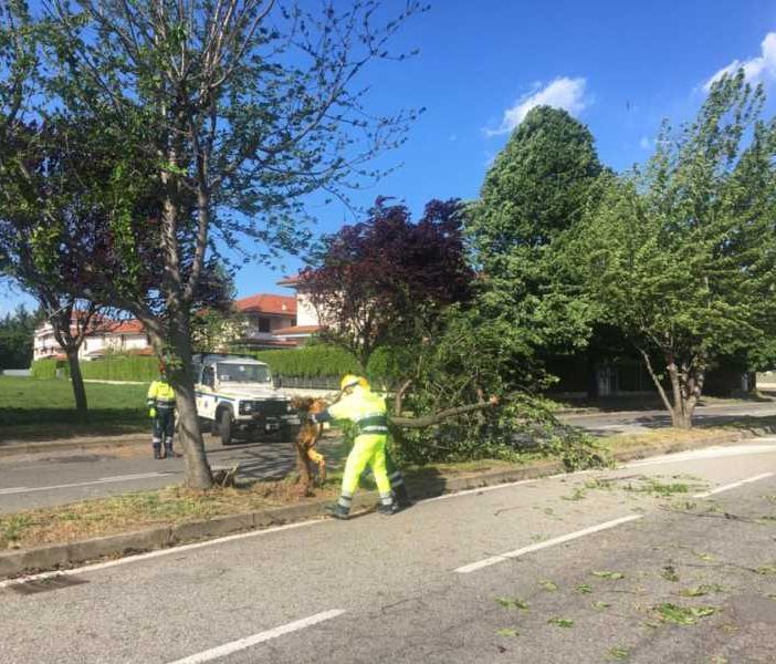 Allerta vento forte in Lombardia